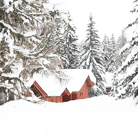 Hébergement de vacances Alpine-lodges Gertraud *